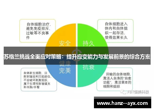 苏格兰挑战全面应对策略:提升应变能力与发展前景的综合方案 苏格兰挑战全面应对策略:提升应变能力与发展前景的综合方案