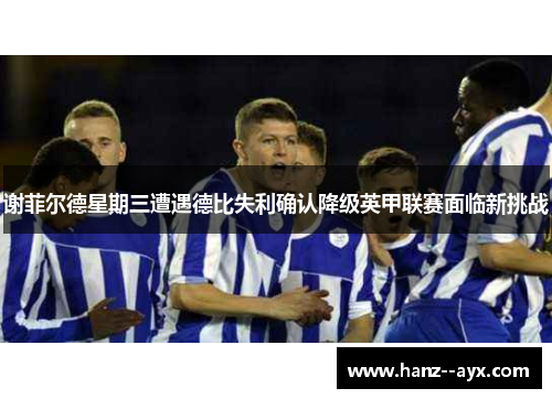 谢菲尔德星期三遭遇德比失利确认降级英甲联赛面临新挑战