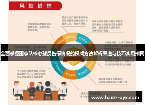 全面掌握国家队核心球员伤停情况的权威方法解析渠道与技巧实用指南